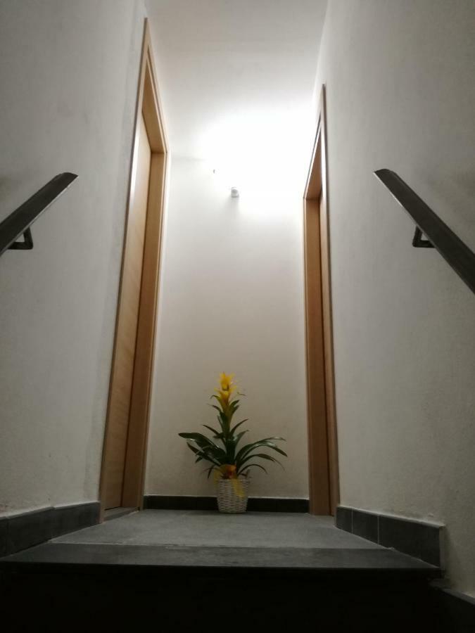 ホテル Domus 19 ナポリ エクステリア 写真